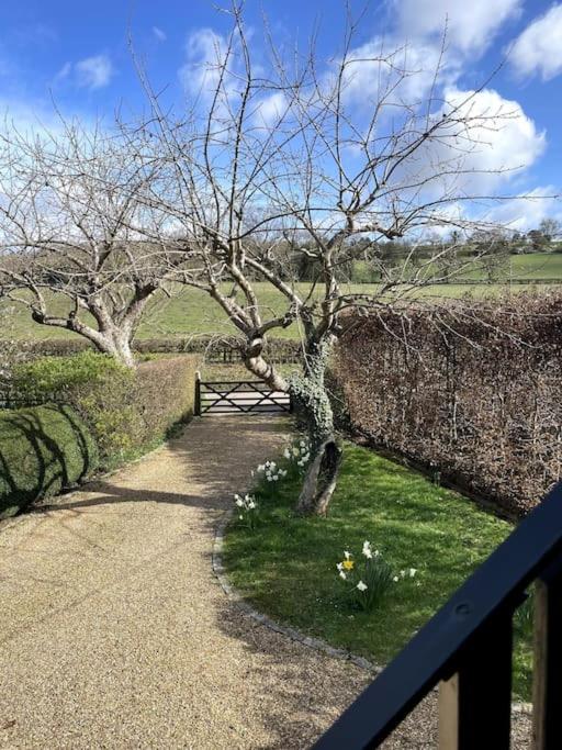 Little Studio Annexe Marlow  Exterior foto